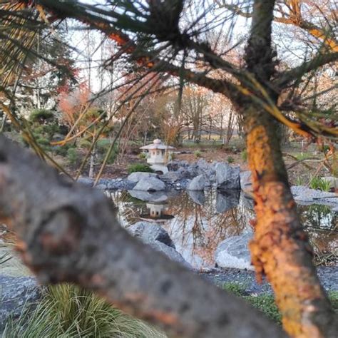 Première ouverture des jardins japonais de Favières et exposition de