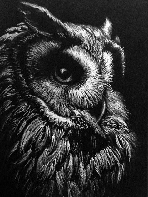 Jolis Dessins En Noir Et Blanc Imprimer D Coration Maison Art Hibou