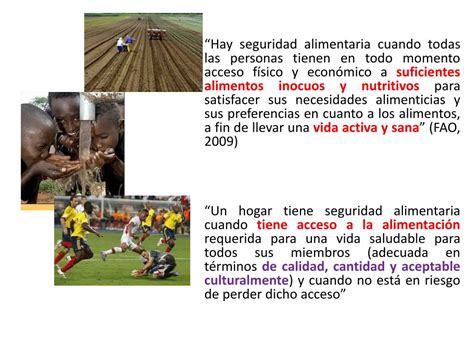 Ppt Seguridad Alimentaria Y Nutricional Powerpoint Presentation Free