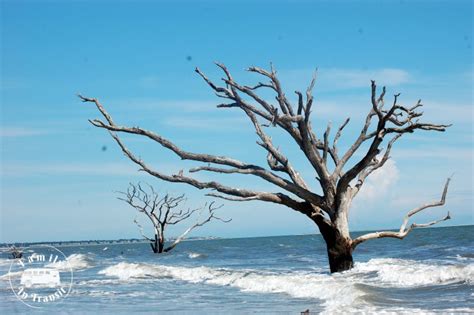 Visiting Botany Bay on Edisto Island, SC Is Like Entering Another World