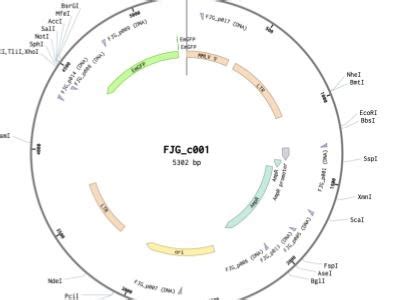 Great Digital Lab Notebook and Cloning Tool | Biocompare Antibody Review