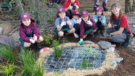 Bunnings Frogid And The National Frog Pond Project The Australian Museum