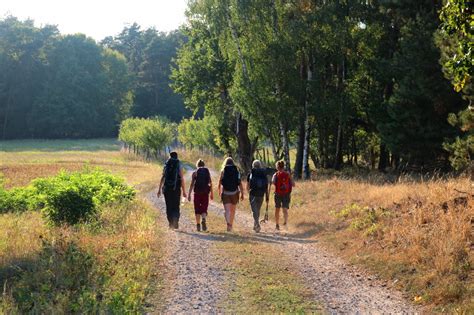 Brandenburger Jakobsweg D Von Frankfurt Oder Nach Berlin Bernau