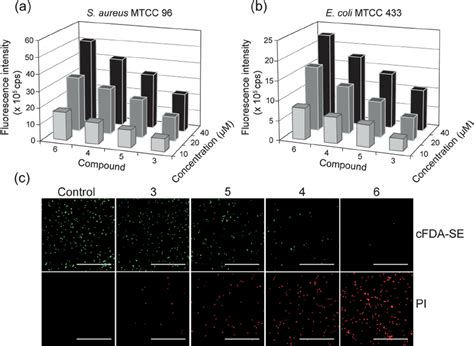 Structure Guided Bactericidal Activity Of Amphiphiles Compounds