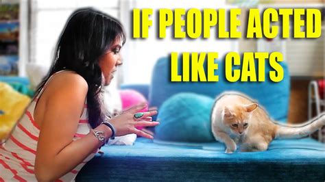 Do Humans Like Cats