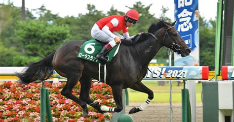 【予想】 12月24日 阪神11r 阪神カップ 見解・印｜ジャスミン太郎の競馬予想 Note