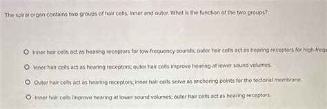 Solved The Spiral Organ Contains Two Groups Of Hair Cells Chegg