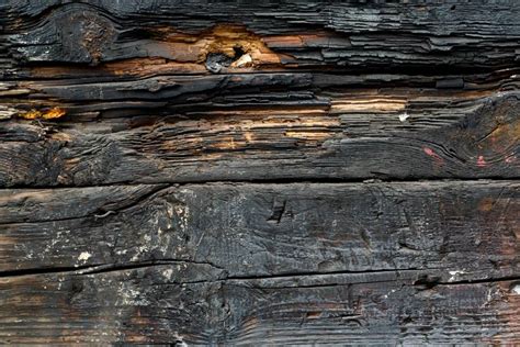 Burnt Wood Plank Free Texture