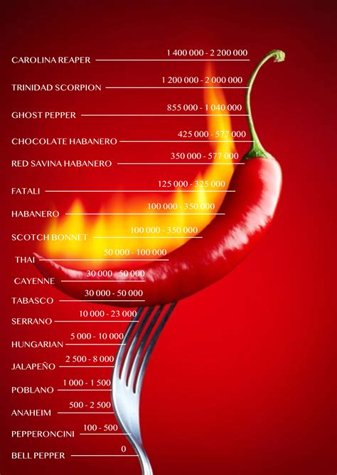 Spice Up Your Life Understanding The Scoville Scale Lord S Hot Sauce