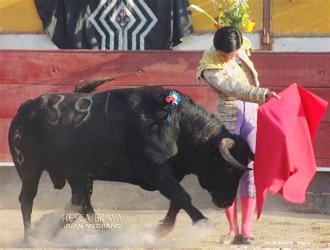 PERÚ TOROS TOROKUNA DISFRUTÓ CON EL TOREO BUENO DE JUAN CARLOS CUBAS