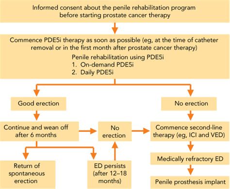 Prostate Cancer Survivorship A Review Of Erectile Dysfunction And