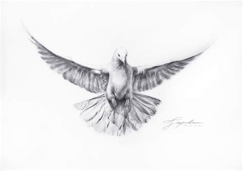 Dove Totem Drawing Academy Dove Tattoo Dove Tattoo Design Dove