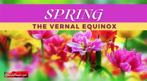 Spring, the Vernal Equinox - Eden Florist - South Florida Flowers for ...