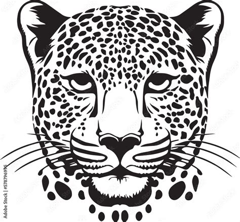 Leopard Head Vector Illustration Leopard Face On A Isolated