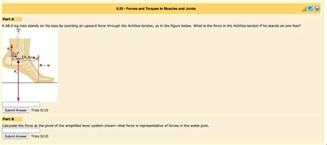 Solved 9 33 Forces And Torques In Muscles And Joints Part Chegg