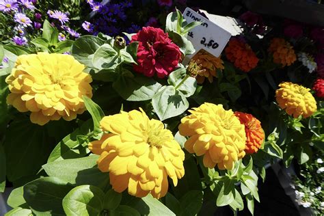 S E Fr Chte Und Spargel Zu Pfingsten Marktbummel Aschaffenburg