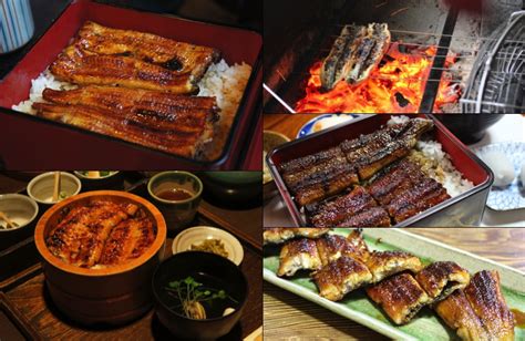 【日本鰻魚飯】張維中：旅途上，令人難忘的美味鰻魚飯 步步日本