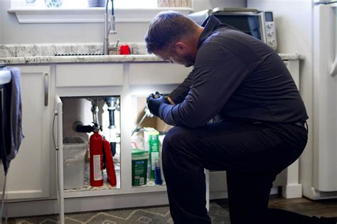 Silverfish - Pest Control