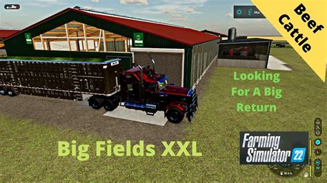 Fs22 Big Fields Xxl Adding 240 More Cows And Planting Using Courseplay