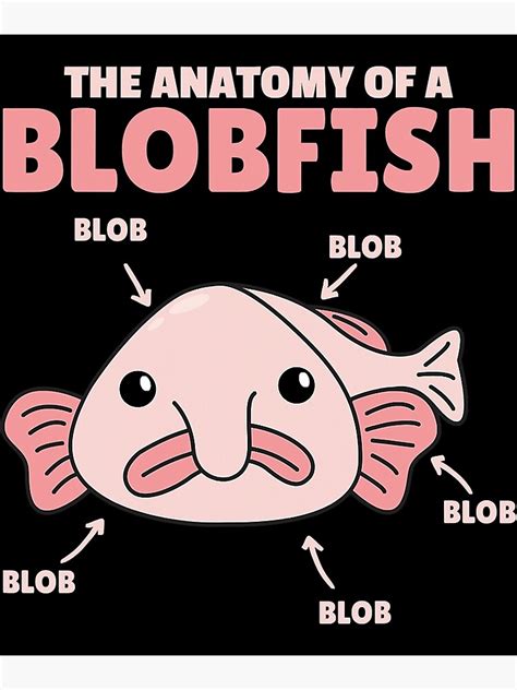 Funny Blobfish Statement Anatomy Of Blobfish Poster By JangDongChun