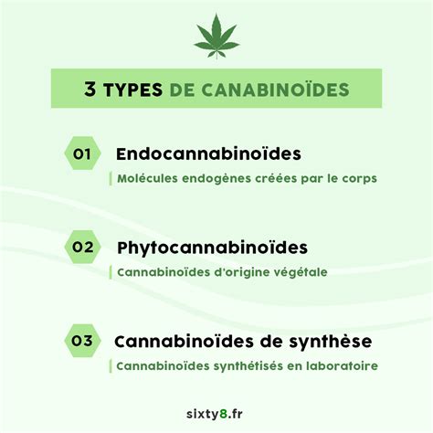 Les Principaux Cannabinoides Pr Sents Dans Le Cbd Et Leurs Effet