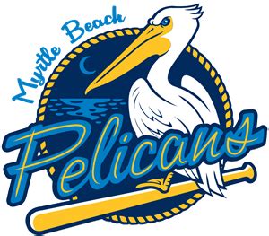 Myrtle Beach Pelicans Logo PNG Vectors Free Download