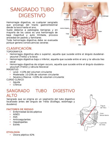 Sangrado De Tubo Digestivo Alto Y Bajo Resúmenes De Gastroenterología