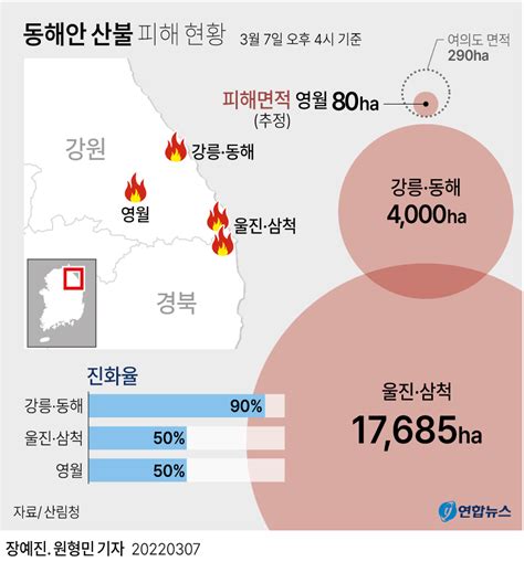 강원도 중심 강원도 세상