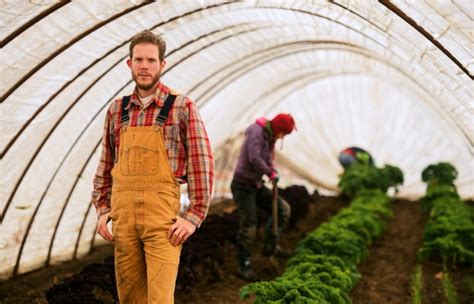 Vegetable grower starts small to grow big