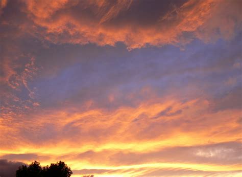 Dance In My Garden Autumnal Evening Skies