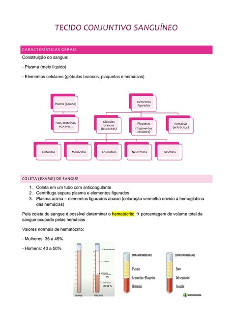 SOLUTION TECIDO CONJUNTIVO SANGUÍNEO RESUMO Studypool