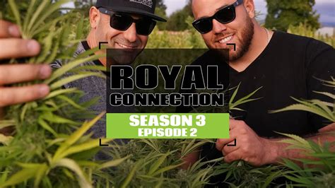 Growing Exposed S3 Ep2 Royal Connection Youtube