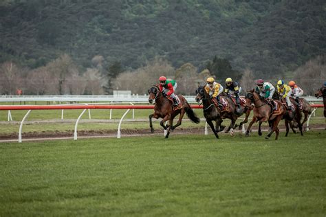 Te Aroha Track Closer To Return Racing Te Aroha