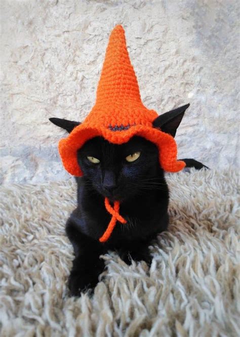 Sombrero de bruja para gato disfraz de mascota disfraz de Etsy México