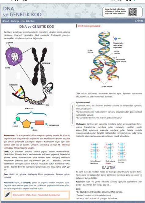 Fen Bilimleri 8sınkf Dna Ve Genetik Kod çalışma Kağıdı Genetik Ders