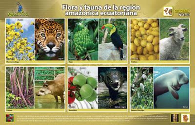 Fauna Y Flora Del Ecuador