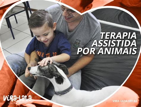 Terapia Assistida Por Animas Taa Vira Lata Cl Nica Veterin Ria