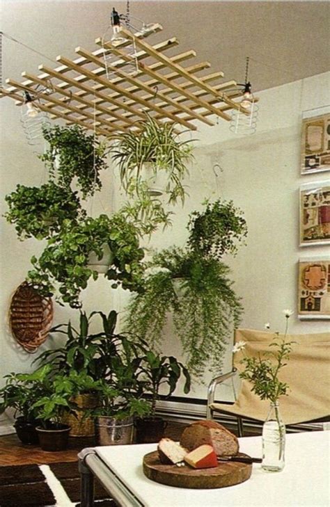 Pin by Barbara B. on Jungalows | Hanging plants indoor, House plants decor, Interior plants