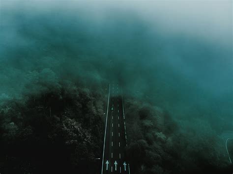 The path to regeneration – why we need to take the road less travelled