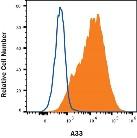 Human A33 Antibody MAB30803 100 R D Systems