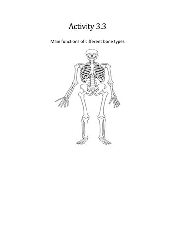 Btec Level 3 Sport 2016 New Specification Unit 1 Learning Aim A Skeletal System Teaching