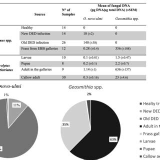 Fungal DNA Of O Novo Ulmi And Geosmithia Spp On Analysed Samples By