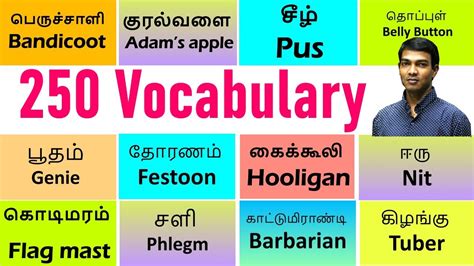 250 Common English Words Used In Daily Life In Tamil Useful English