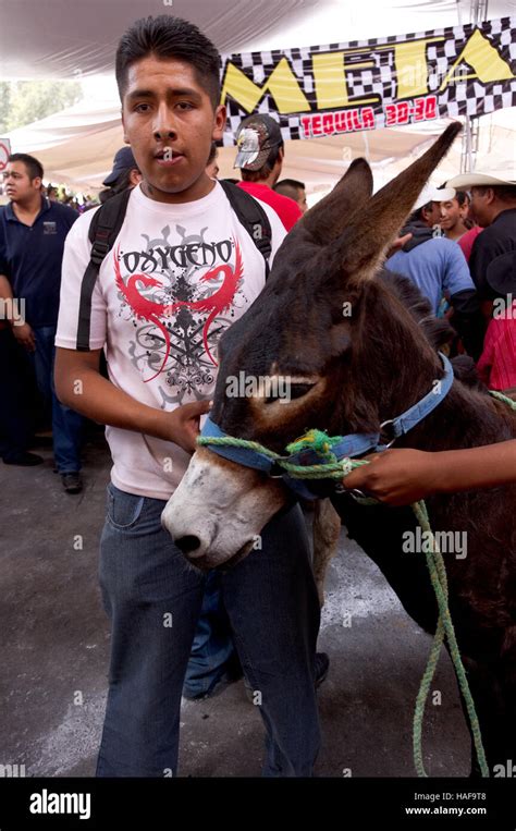 El Ganador Del Segundo Lugar De La Tradicional Carrera En El Burro