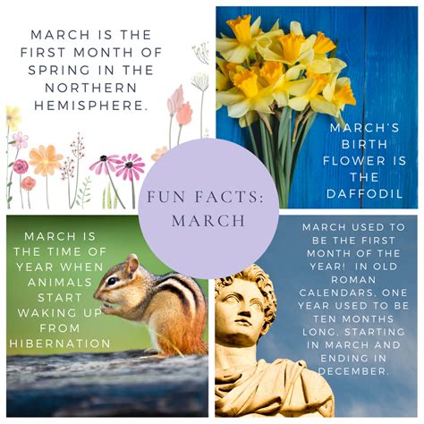 Fun Facts March