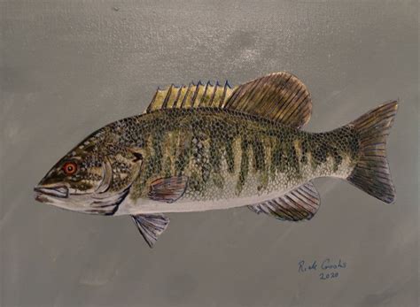 Smallmouth Bass original Acrylic Painting Fish Wall Art | Etsy | Fish ...