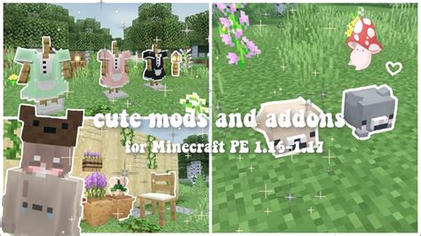 Cute Mods And Addons For Minecraft Pe Youtube