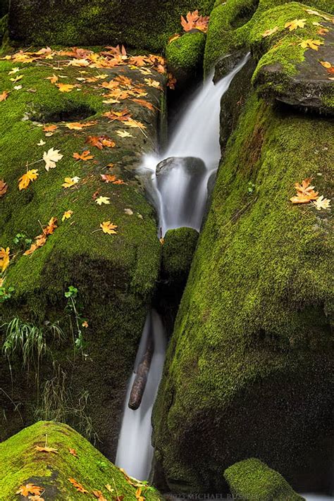 Whatcom Falls Park in Bellingham