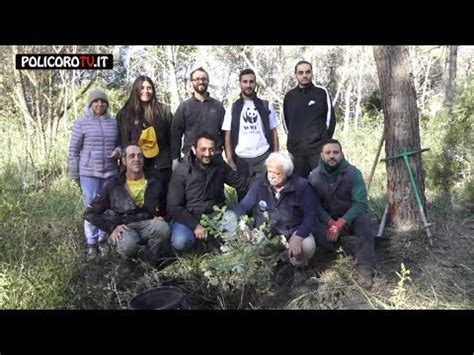 Le Ultime Giovani Piantine Di Farnia Messe A Dimora Per Il Progetto L