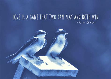 BLUE BIRDS quotes Photograph by JAMART Photography - Pixels